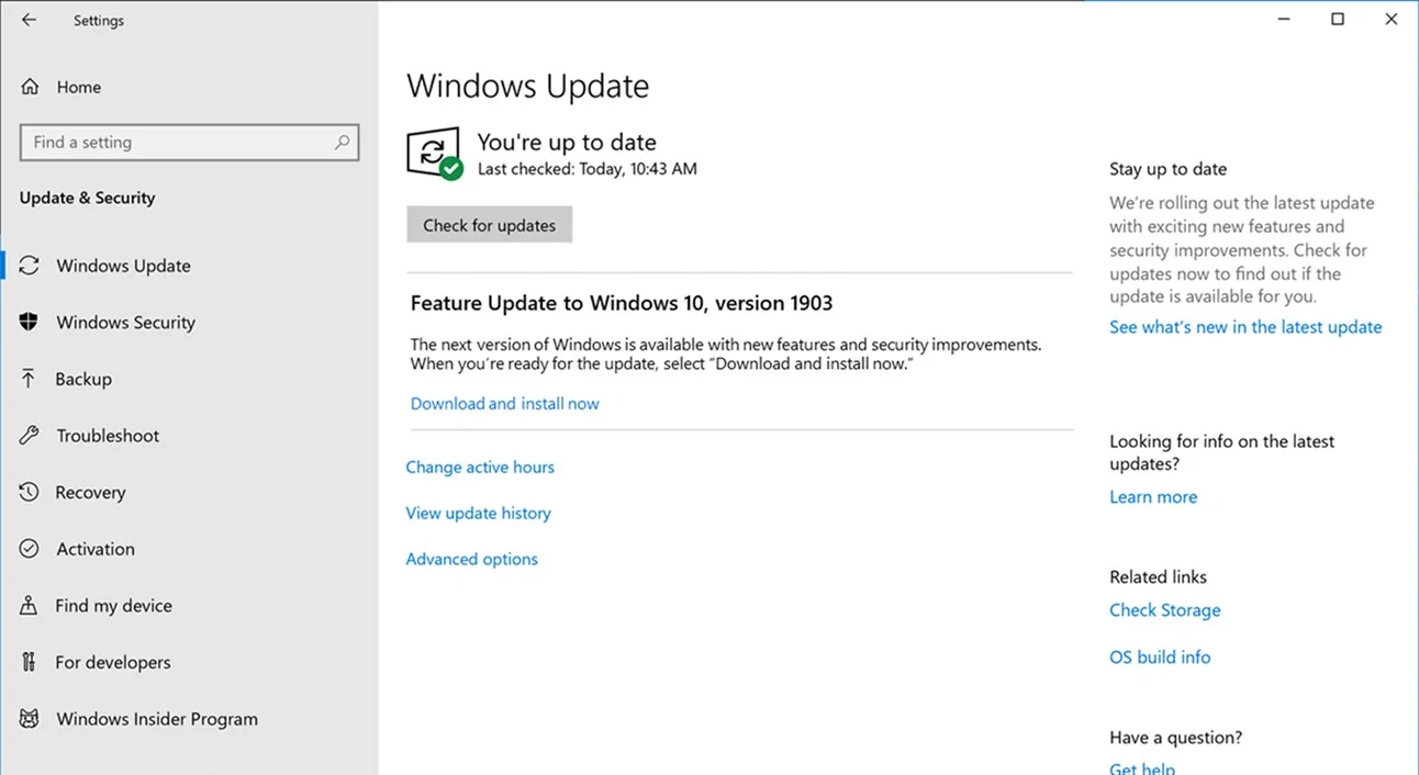 Windows Update virusas